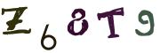 圖片的 CAPTCHA