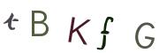 圖片的 CAPTCHA