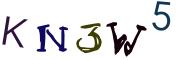 圖片的 CAPTCHA
