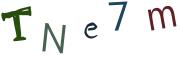 圖片的 CAPTCHA