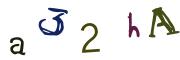圖片的 CAPTCHA