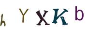 圖片的 CAPTCHA