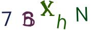 圖片的 CAPTCHA