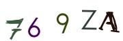 圖片的 CAPTCHA