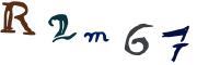 圖片的 CAPTCHA
