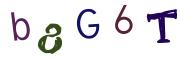 圖片的 CAPTCHA