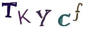 圖片的 CAPTCHA
