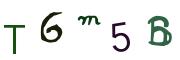 圖片的 CAPTCHA