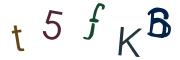 圖片的 CAPTCHA