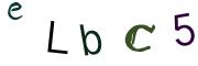 圖片的 CAPTCHA