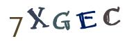 圖片的 CAPTCHA