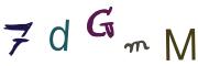 圖片的 CAPTCHA