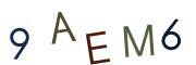 圖片的 CAPTCHA
