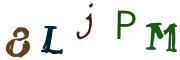 圖片的 CAPTCHA