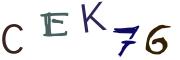 圖片的 CAPTCHA