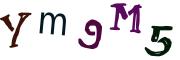 圖片的 CAPTCHA