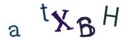 圖片的 CAPTCHA
