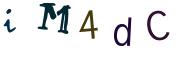 圖片的 CAPTCHA