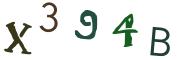 圖片的 CAPTCHA