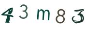 圖片的 CAPTCHA