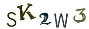 圖片的 CAPTCHA