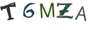 圖片的 CAPTCHA