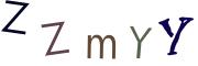 圖片的 CAPTCHA