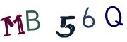 圖片的 CAPTCHA