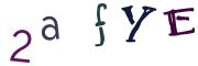 圖片的 CAPTCHA