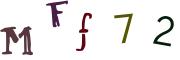 圖片的 CAPTCHA