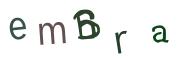 圖片的 CAPTCHA