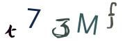 圖片的 CAPTCHA
