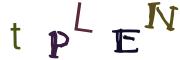 圖片的 CAPTCHA