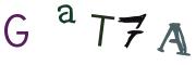 圖片的 CAPTCHA
