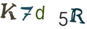 圖片的 CAPTCHA