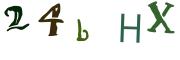 圖片的 CAPTCHA