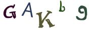 圖片的 CAPTCHA