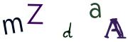 圖片的 CAPTCHA