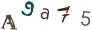 圖片的 CAPTCHA