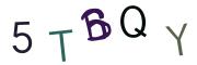 圖片的 CAPTCHA