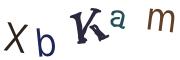 圖片的 CAPTCHA