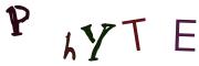 圖片的 CAPTCHA