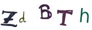 圖片的 CAPTCHA