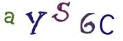 圖片的 CAPTCHA