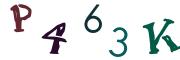 圖片的 CAPTCHA