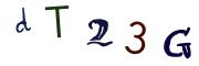 圖片的 CAPTCHA