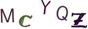 圖片的 CAPTCHA