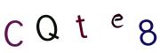 圖片的 CAPTCHA