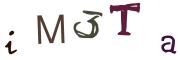 圖片的 CAPTCHA