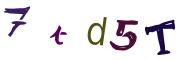 圖片的 CAPTCHA